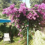 Lara - Private Parking And Garden 아파트