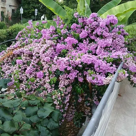 Lara - Private Parking&garden Apartamento