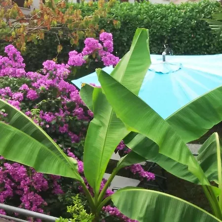 Lara - Private Parking&garden Apartamento Kovacic