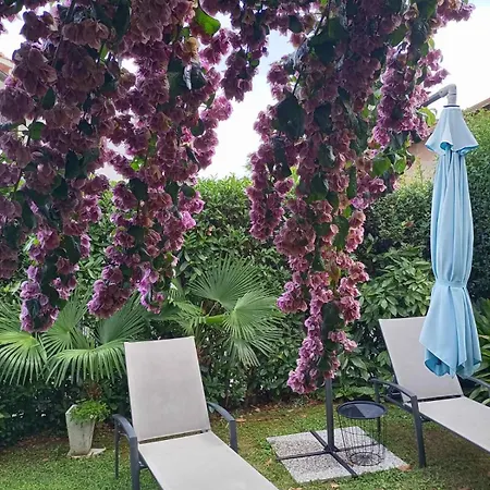 Lara - Private Parking&garden *