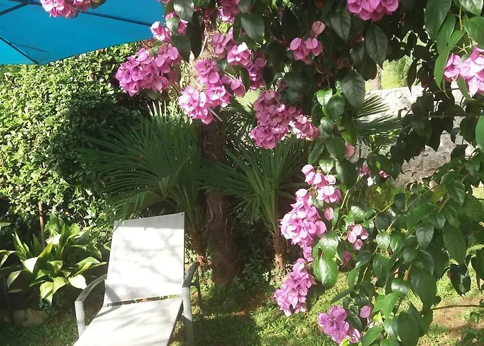 Lara - Private Parking And Garden