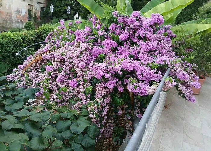 Lara - Private Parking And Garden 아파트