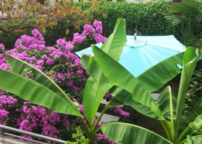 Lara - Private Parking And Garden 아파트 Kovacic